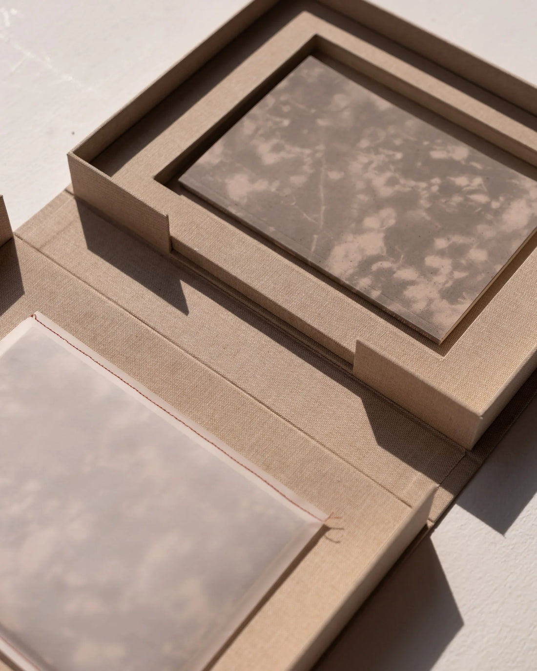 Artist's Talk with Thomas Bergner