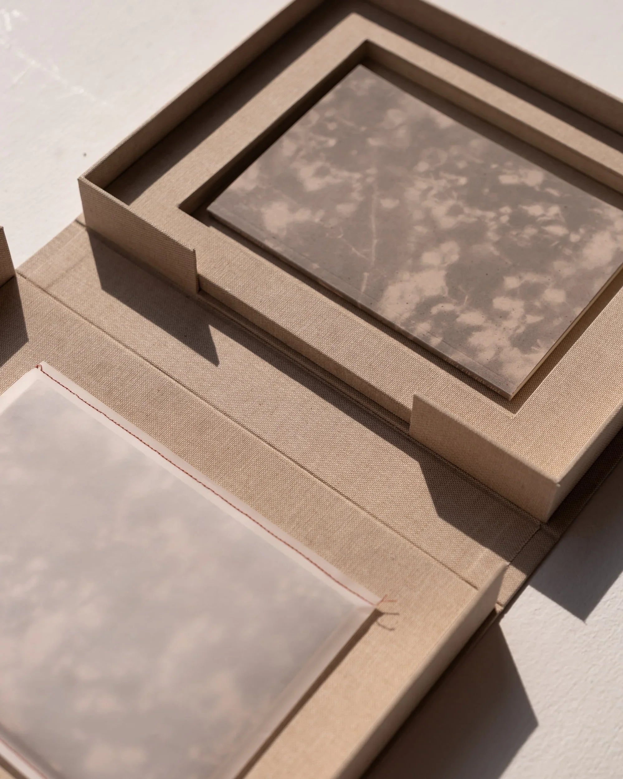 Artist's Talk with Thomas Bergner
