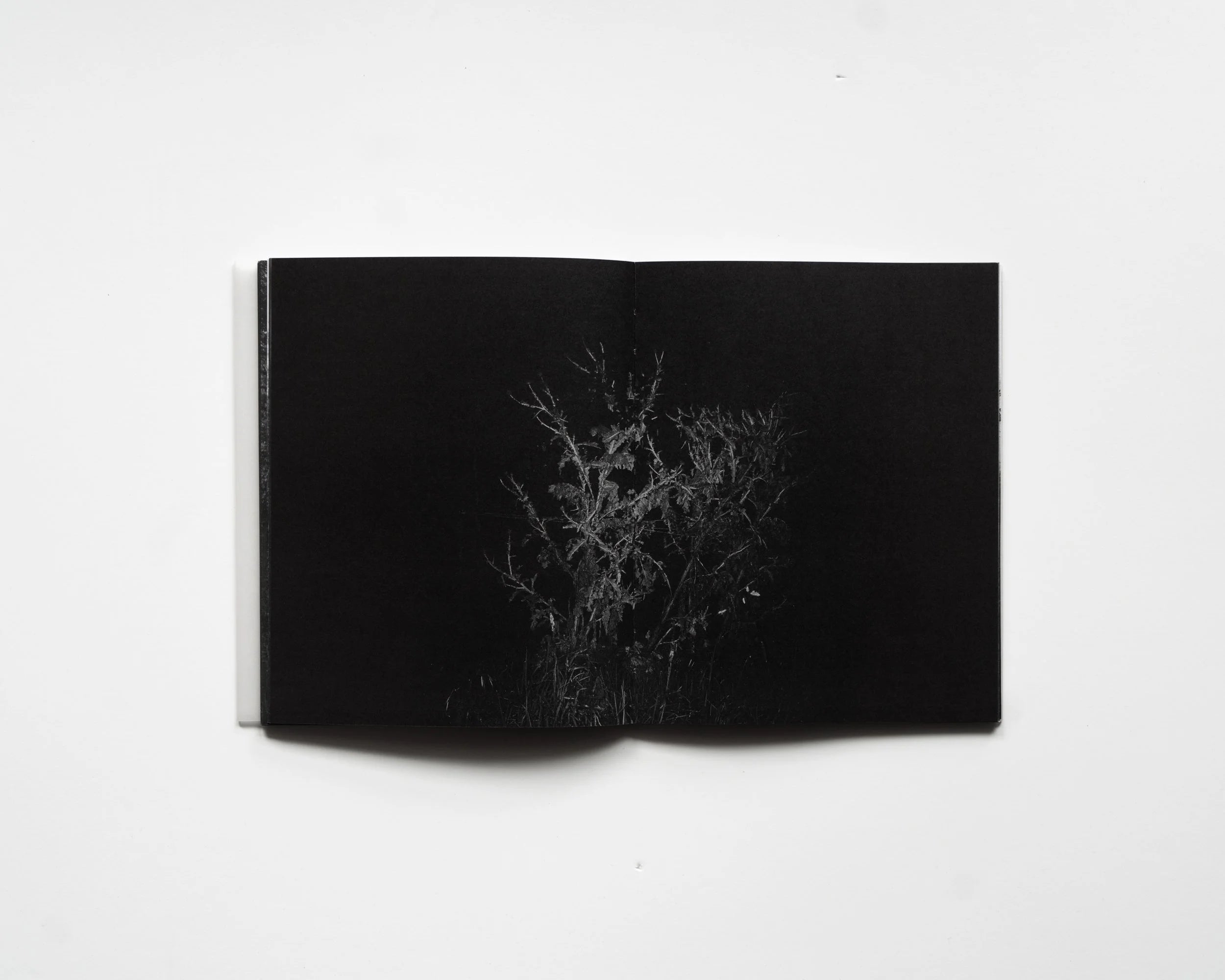 RAREFIED (SECOND EDITION) - LIMITED