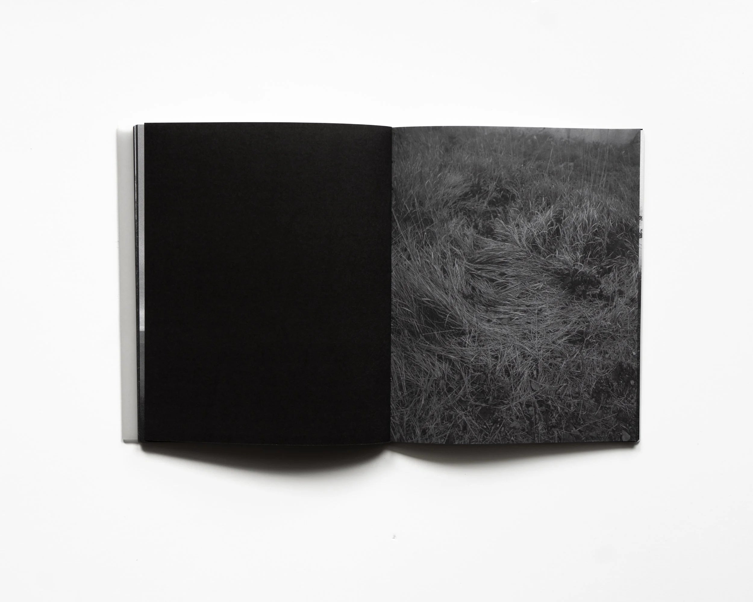 RAREFIED (SECOND EDITION) - LIMITED