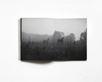 RAREFIED (SECOND EDITION) - LIMITED