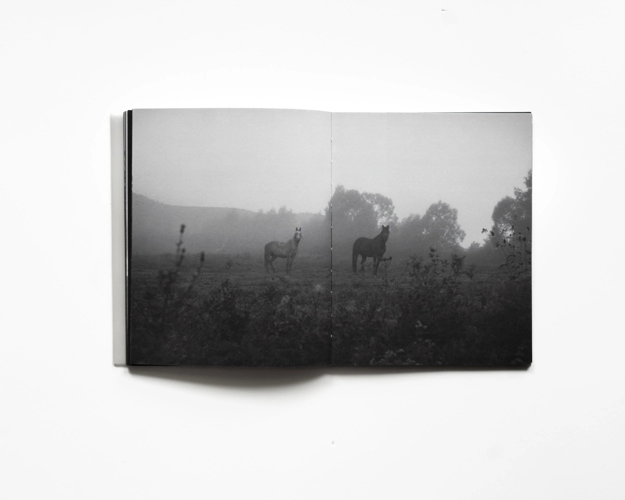 RAREFIED (SECOND EDITION) - LIMITED