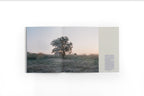 PLACE WHERE KITES FLY (SOLD OUT)
