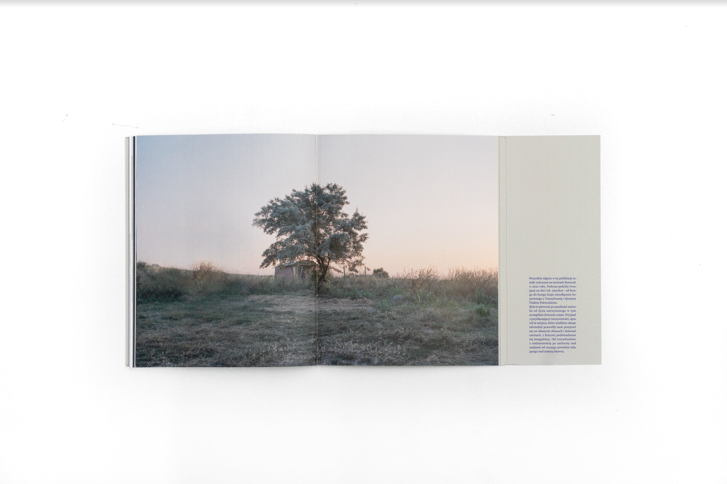 PLACE WHERE KITES FLY (SOLD OUT)